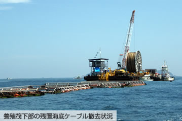 養殖筏下部の残置海底ケーブル撤去状況